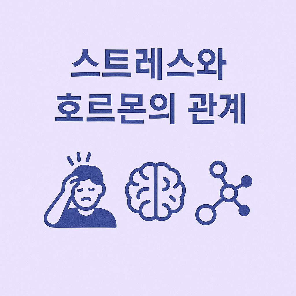 스트레스와 호르몬의 관계