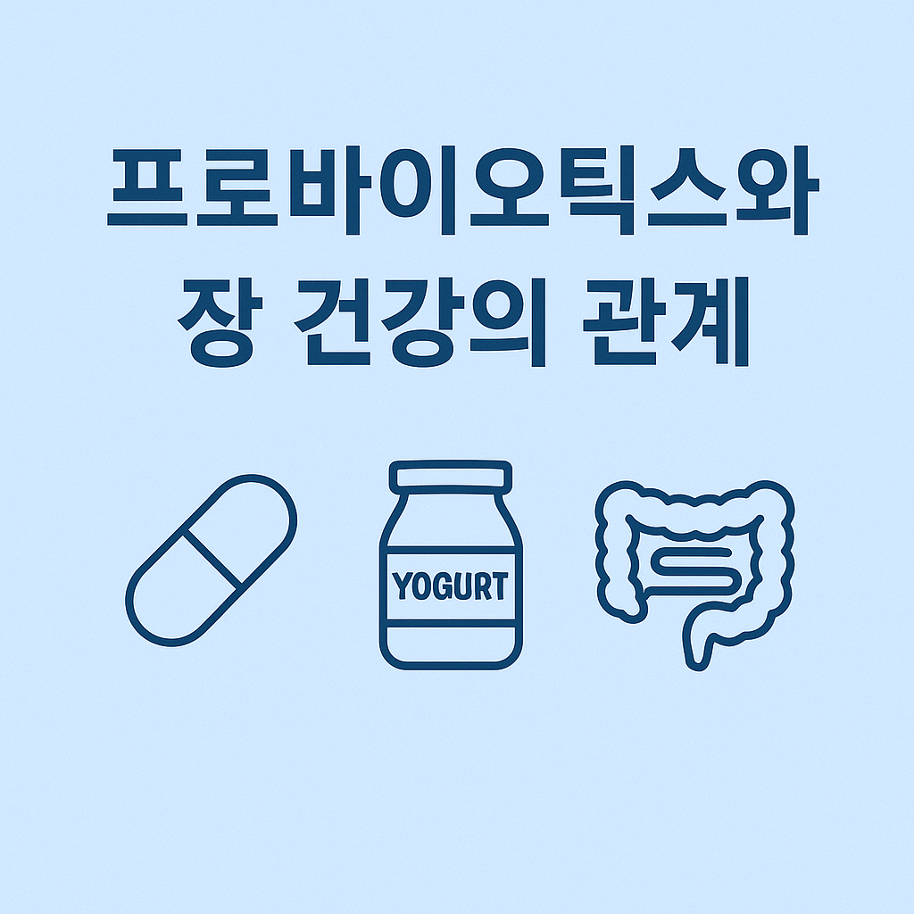 프로바이오틱스와 장 건강의 관계