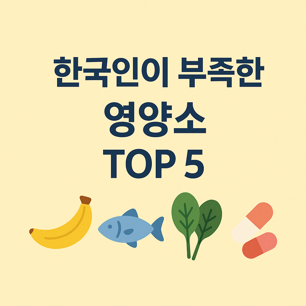 한국인이 부족한 영양소 TOP 5