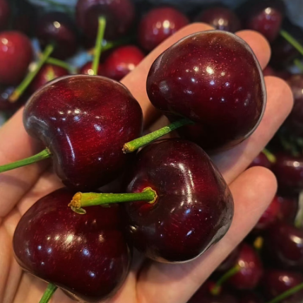 숙면을 돕는 음식, 밤마다 뒤척이는 사람을 위한 영양 솔루션