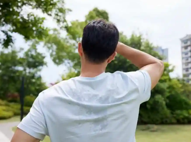 땀 배출과 붓기의 상관관계 땀으로 해독한다는 말의 진짜 의미