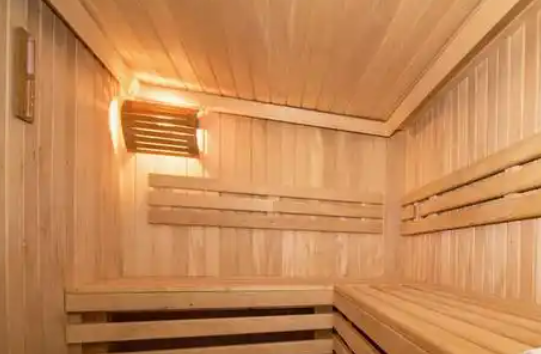 사우나와 건강 관리, 땀으로 시작하는 몸속 디톡스