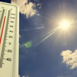 더위에 강한 체질 만들기, 여름에도 지치지 않는 몸의 비밀