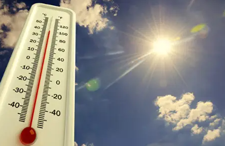 더위에 강한 체질 만들기, 여름에도 지치지 않는 몸의 비밀