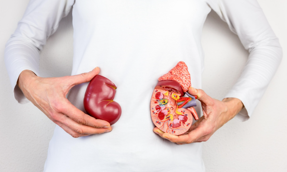 부종과 신장 건강의 관계, 붓기가 보내는 몸의 경고