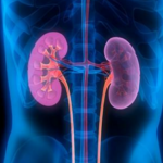 신장 건강에 좋은 식품, 수분·염분 균형을 고려한 음식